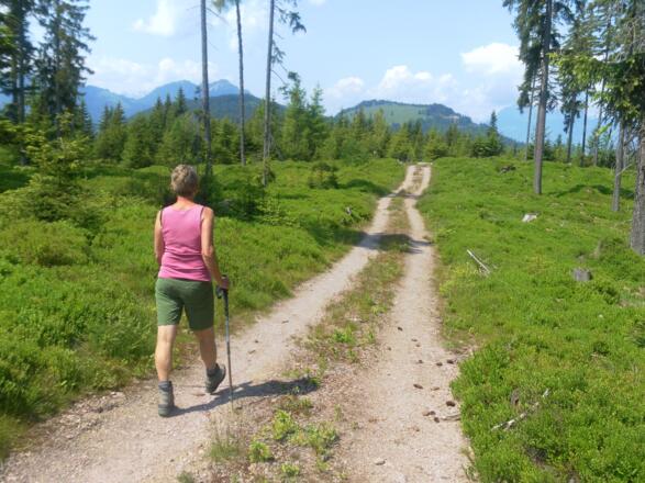 Kragenjoch vom Sonnberger Jöchl