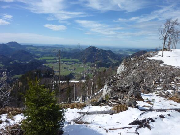 Ausblick ins Voralpenland, links Gaisberg, in Bildmitte Lidaun