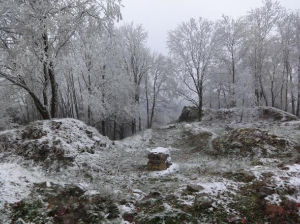 Schloßberg über Tännesberg