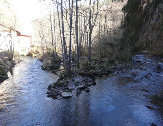 Blick auf die Ilz bei Dießenstein