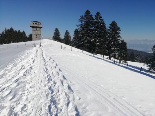 Blick nach Osten zum Alpkönigblick, Abfahrtsmöglichkeit nach Börlas