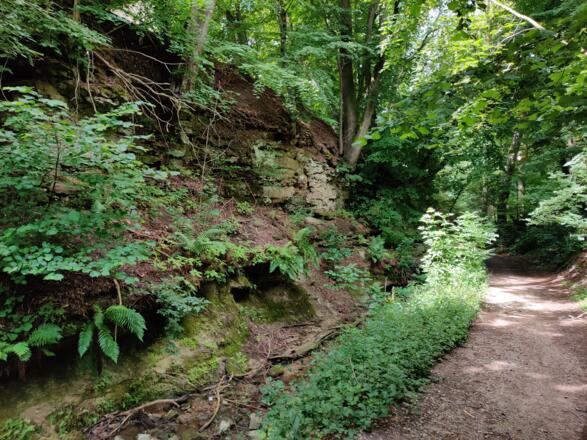 Altenthann - Thanngraben