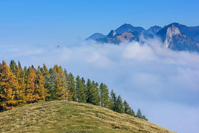 Im Inntal der Nebel, hoch oben auf dem Weg zum Großen Riesenkopf die Sonne