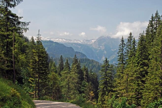 Abstieg zur Königsbachalm