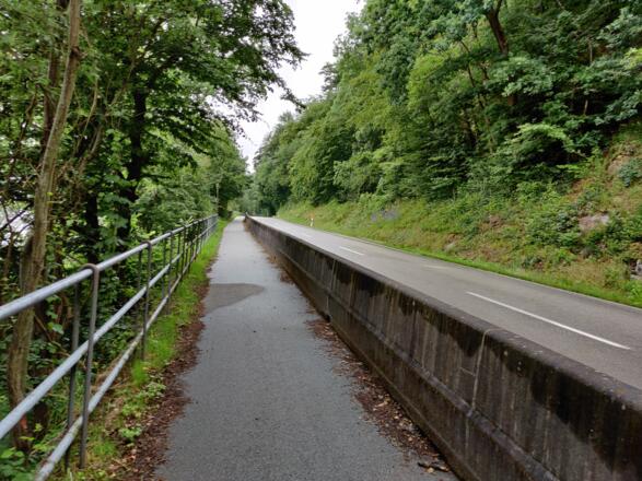 Rad-Fußweg neben der Donau (ca. 3 km)