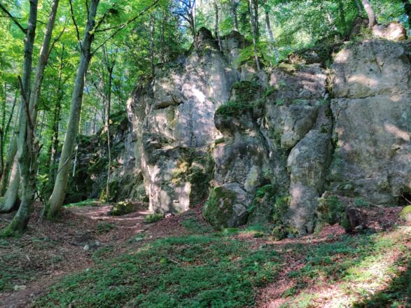 Kalkformationen im Vilstal