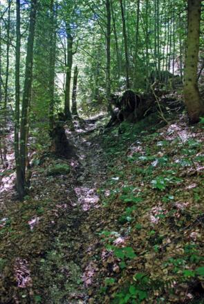 Beim Aufstieg zum Ristfeuchthorn