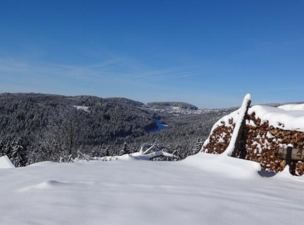 Winter-Wonderland 2 - kurz vor Rettenbach