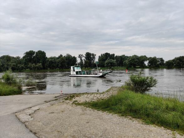 Fähre Niederalteich - Thundorf