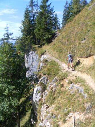 Wemeteigenalm-Grünwaldalm-Steig