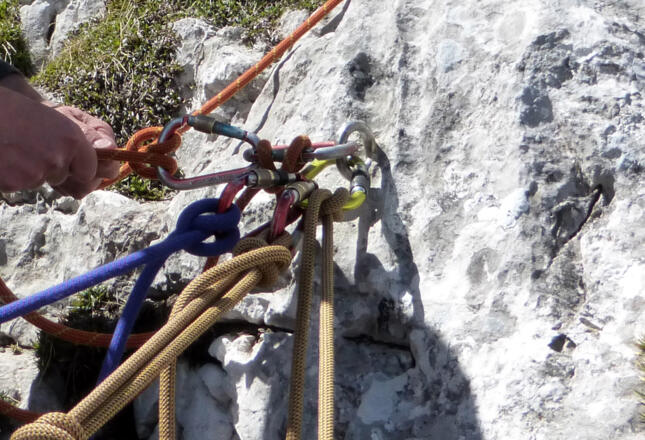 Stände in der Eisbärtour