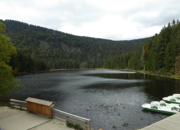Großer Arbersee