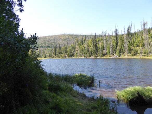 Jezero Laka - Lackensee