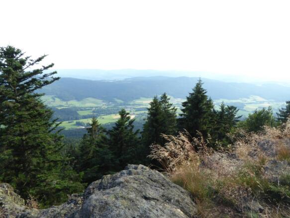 Blick vom Kleinen Riedelstein in das Tal
