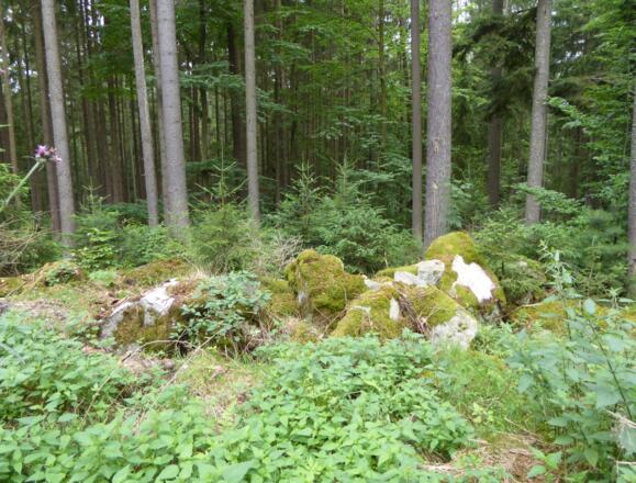 Bäume und Steine :-))