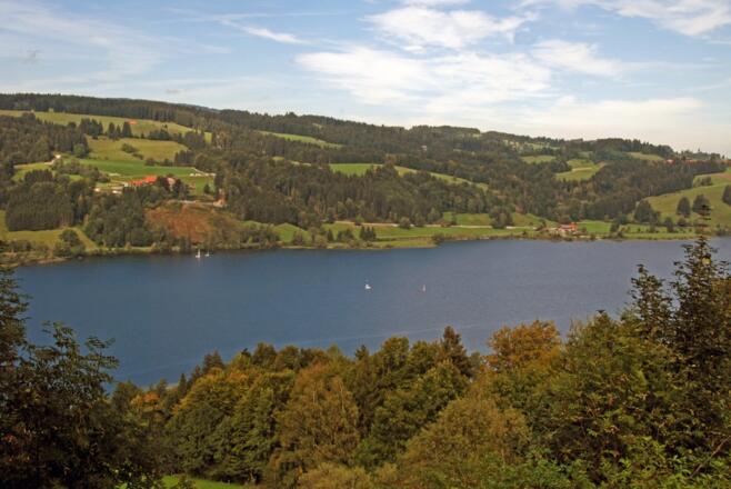 Der Große Alpsee