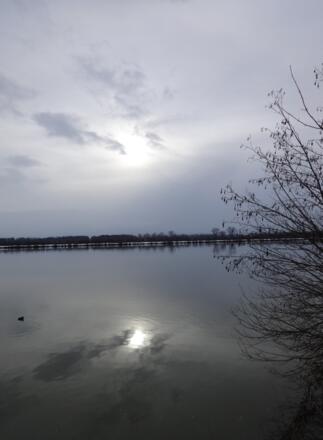 Sonne und die Donau