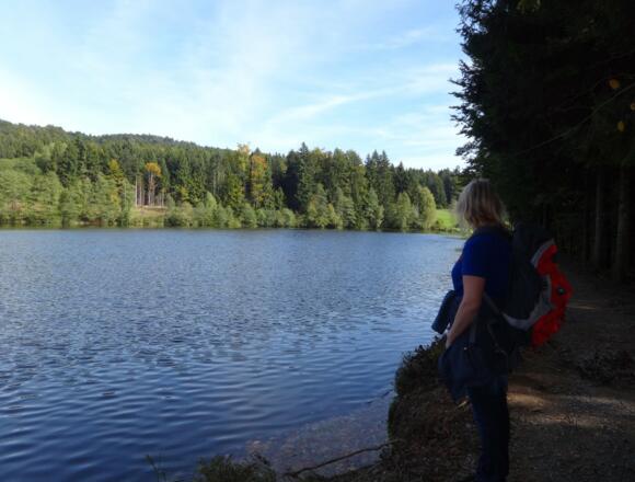 Stausee bei Großarmschlag