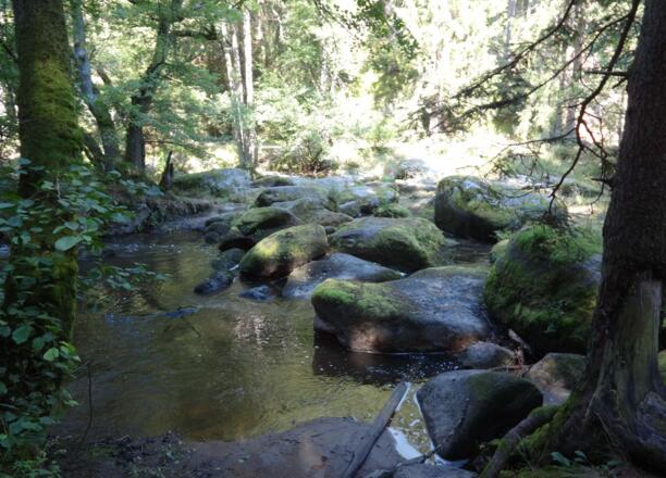 Waldnaabtal