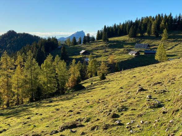 Leonsbergalm mit Schafberg im Hintergrund