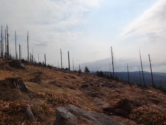 Weg zum Steinernen Meer