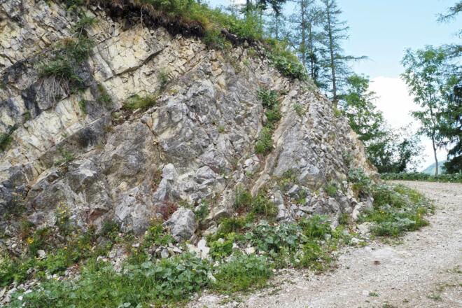 Seit dem Bau der Forststraße muß die Böschungswand an dieser Stelle überwunden werden: Kletterstelle 1+.