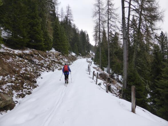 Aufstieg am Forstweg