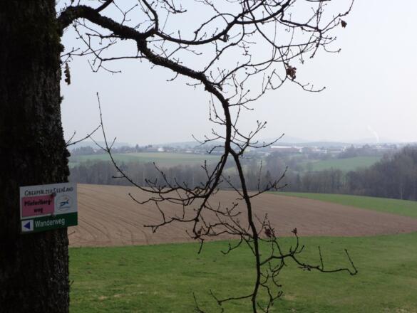 Blick auf Neunburg