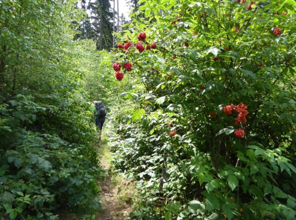 Aufstieg auf den Kreuzfelsen kurz nach Schönbuchen
