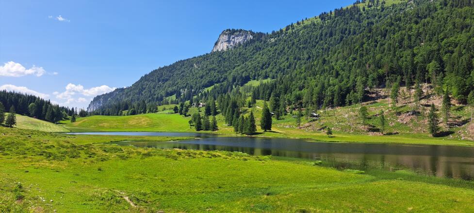 Die Auerhütte thront oberhalb des Seewaldsee...