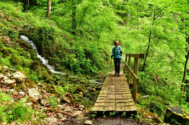 Wunderschöner Zellerlweg