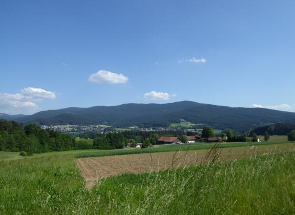Blick auf den Kaitersberg