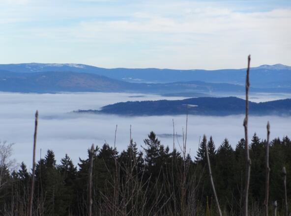 Blick in den Bayer. Wald