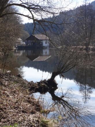 Ilz kurz vor Schrottenbaumühle