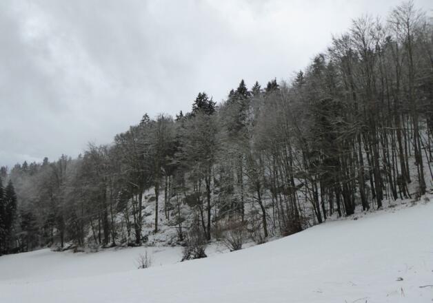 Tals vor Ranfels