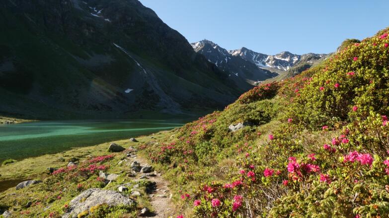 Radurschlsee über dem Hohenzollernhaus