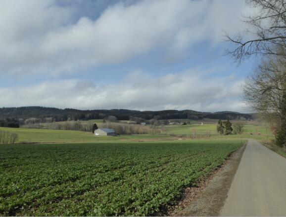 Blick nach Kleinenzenried