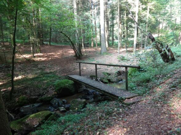 "gefährliche" Überquerung des Limpflbachs