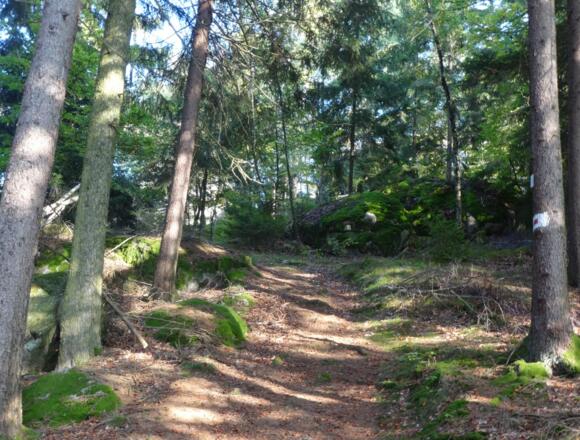 Aufstieg auf den Lauberberg