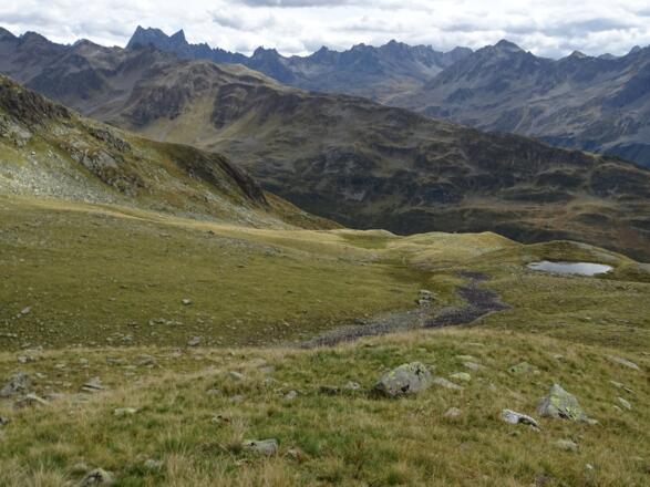 Im &quot;Golden Borst&quot;