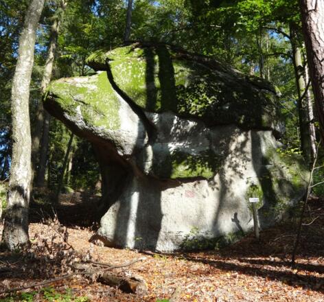 "Schweinskopf" bei Marienstein