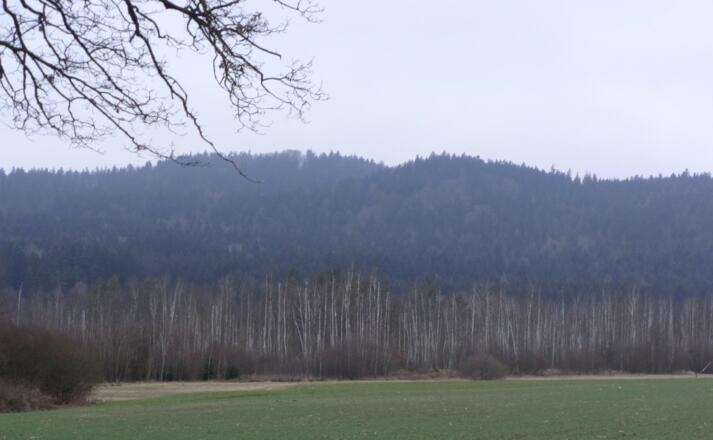 Blick auf den Alten Thanstein