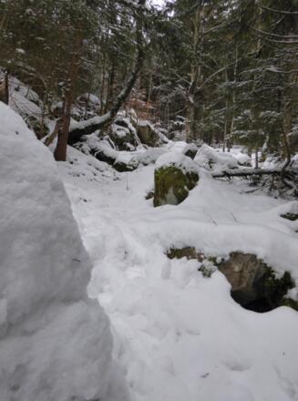 Aufstieg auf den Ochsenberg