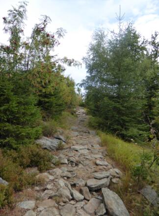 Pfad am Siebensteinkopf