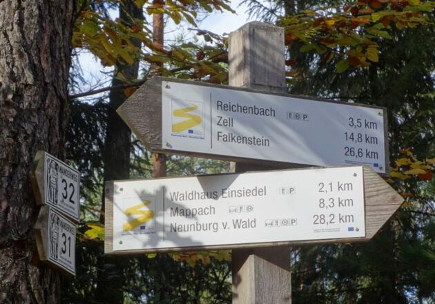 Goldsteigmarkierung im Bodenwöhrer Forst