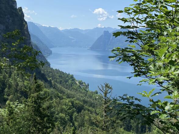 Blick Richtung Ebensee