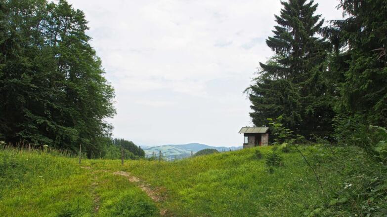 Ehemalige Bergstation des Kurvenlifts