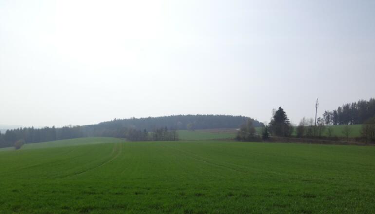 Blick auf den Pfieferlberg