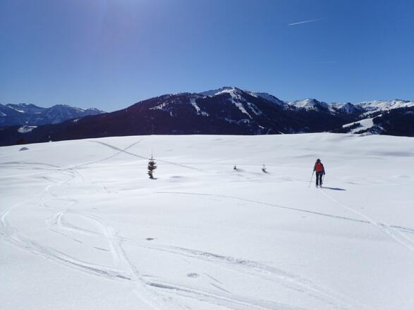 Flach hinaus zum Wetterkreuz am Elmauriedel