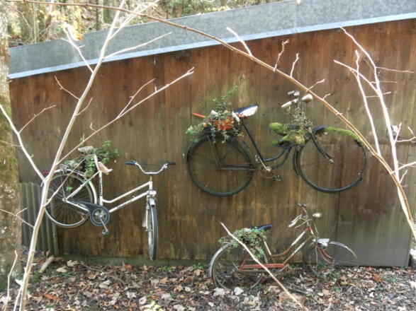 Rainbach, am Eingang zum Klausgraben